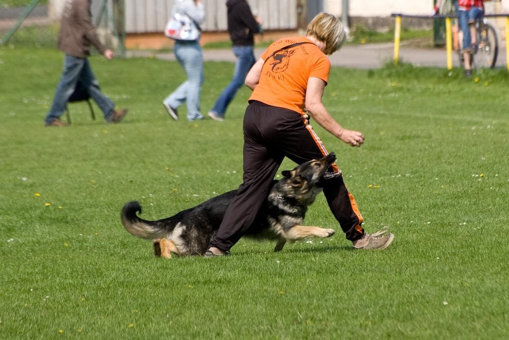 Archivbild: Maiveranstaltung 2009, Bild 02