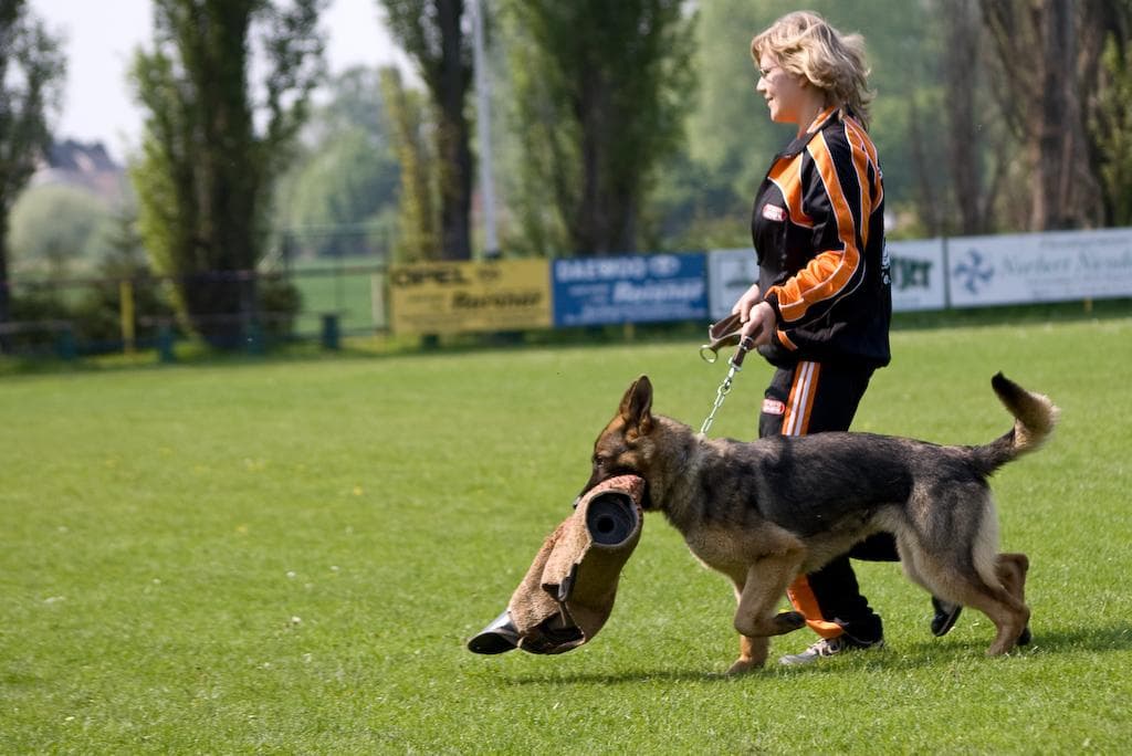 Archivbild: Maiveranstaltung 2009, Bild 07