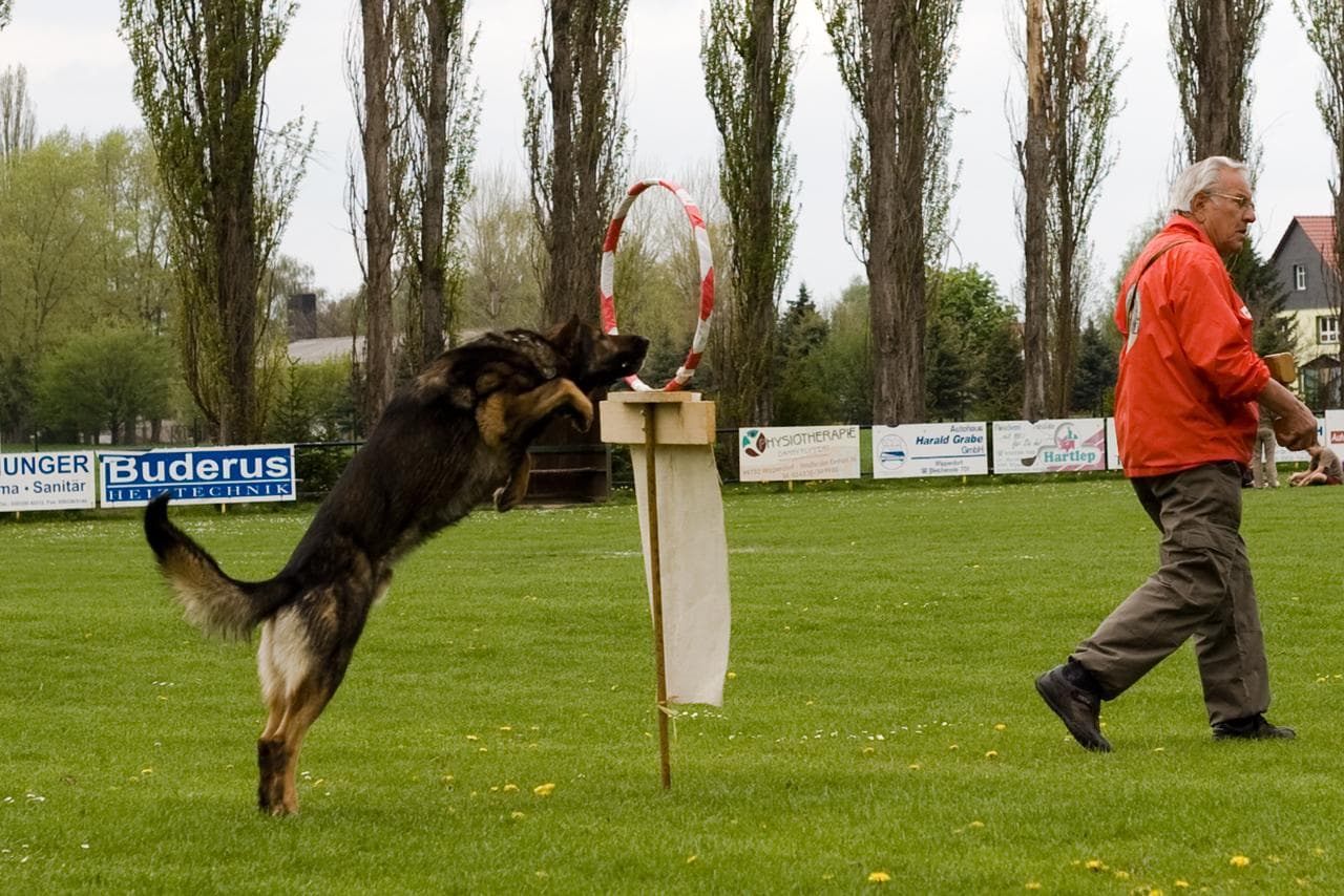 Archivbild: Maiveranstaltung 2010, Bild 01