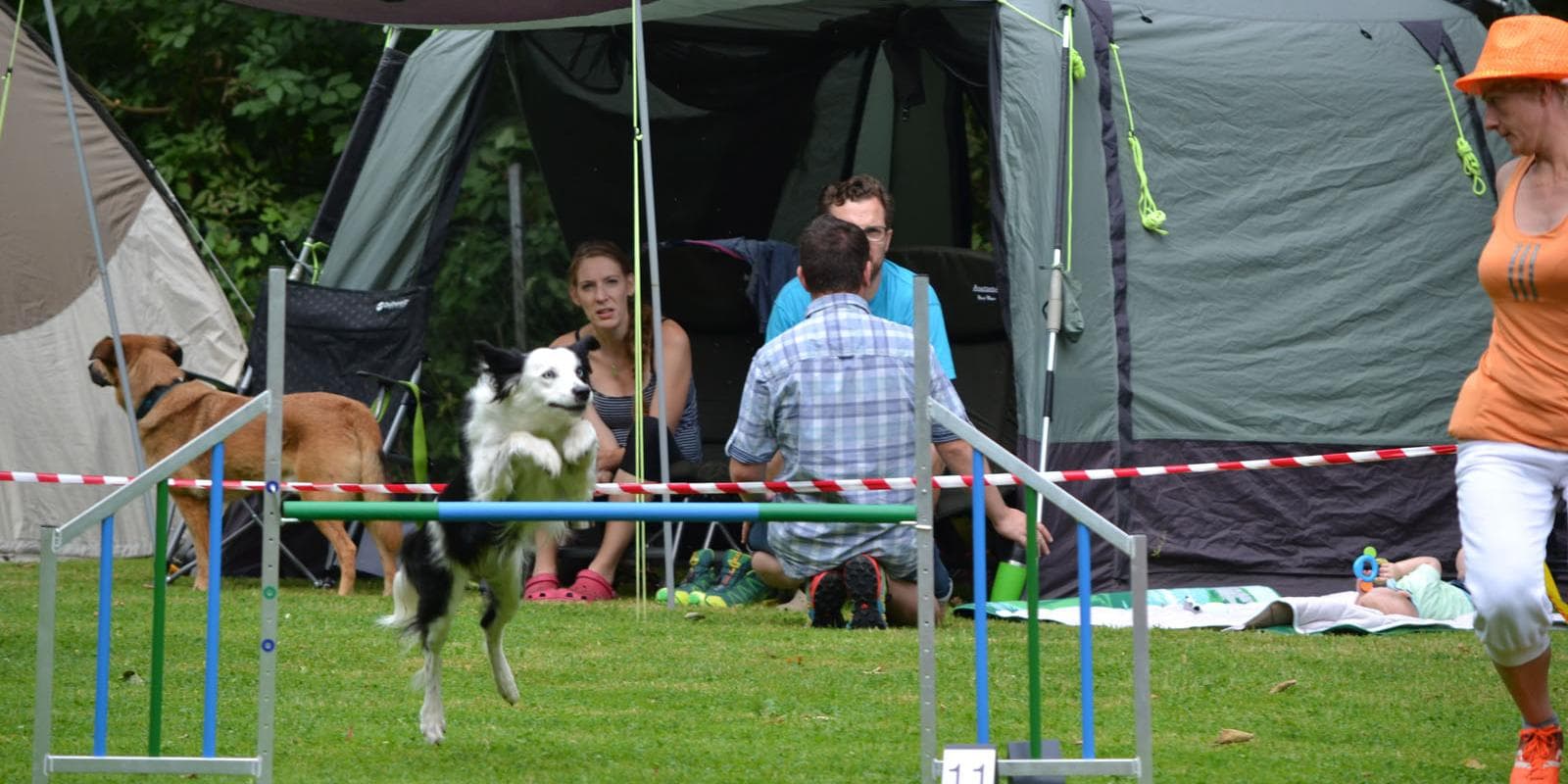 Ein Tages Turnier Osterode