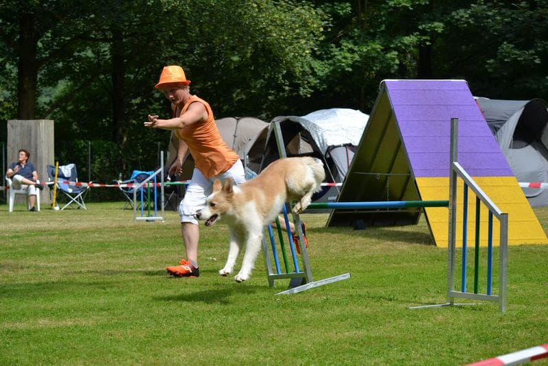 Osterode am 8. und 9. August