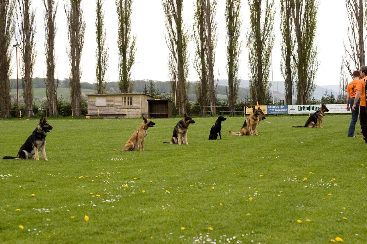 Archivbild: Maiveranstaltung 2010, Bild 09