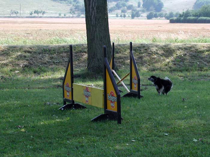 Archivbild: Dorffest 2006, Bild 10