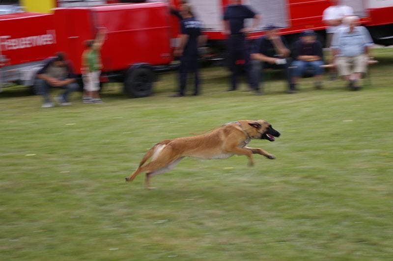 Archivbild: Dorffest 2008, Bild 13