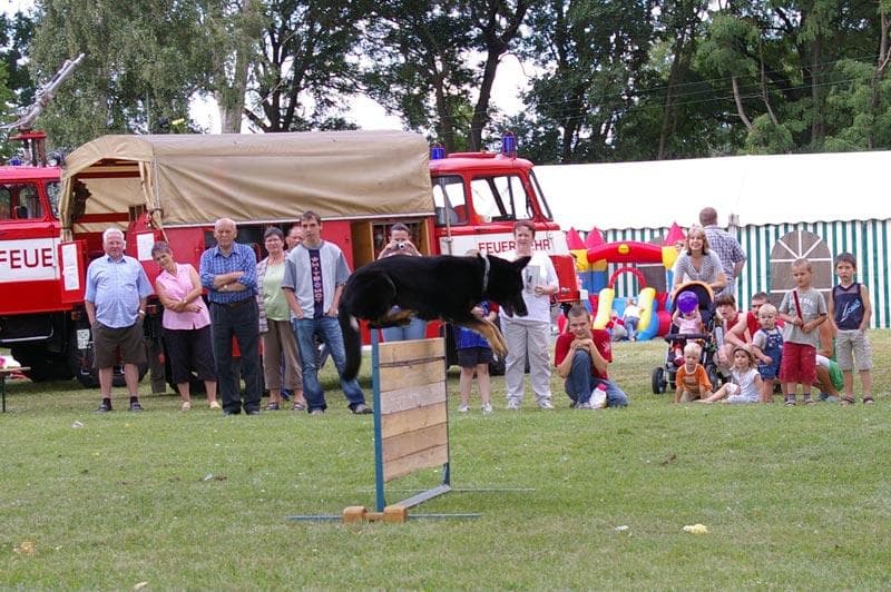 Archivbild: Dorffest 2008, Bild 04