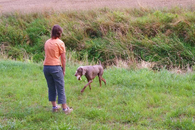 Archivbild: Dorffest 2008, Bild 07