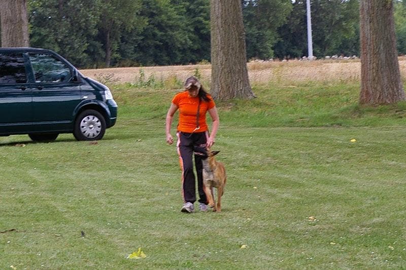 Archivbild: Dorffest 2008, Bild 09