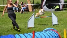 Wintercup in Kaufungen