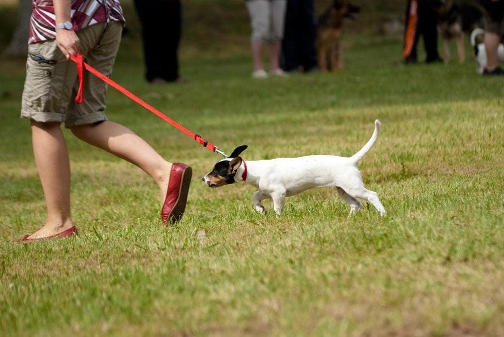 Archivbild: Dorffest 2009, Bild 08