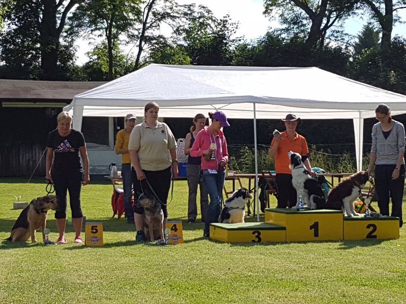 Agility-Turnier mit Regionalligalauf in Rhüden