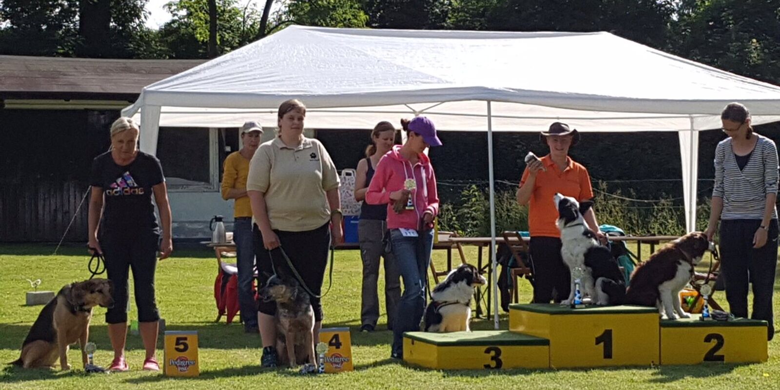 Agility-Turnier mit Regionalligalauf in Rhüden